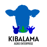 KIBALAMA AGRO ENTERPRISE